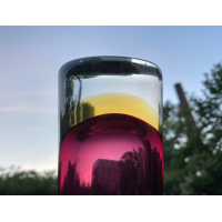 Antonio da Ros Cenedese vaas